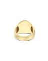 Anice “Muse” signet ring in engraved gold, amazonite and rock crystal (large)